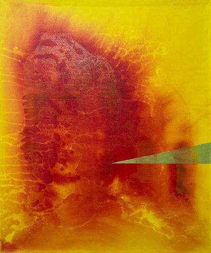 <p>CODE 238 &ndash; SHINEBYPROXYCOPULATION / &Ouml;l und Siebdruck auf Leinwand / 2026</p>
