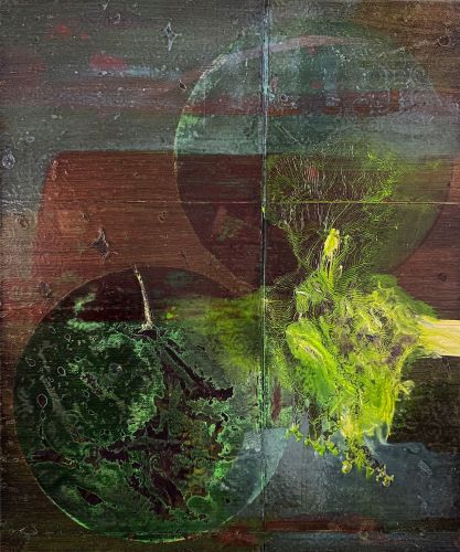<p>BALKONNACHTGEW&Auml;CHS / &Ouml;l und Acryl auf Stoff, auf Leinwand / 60x50 cm / 2025</p>
